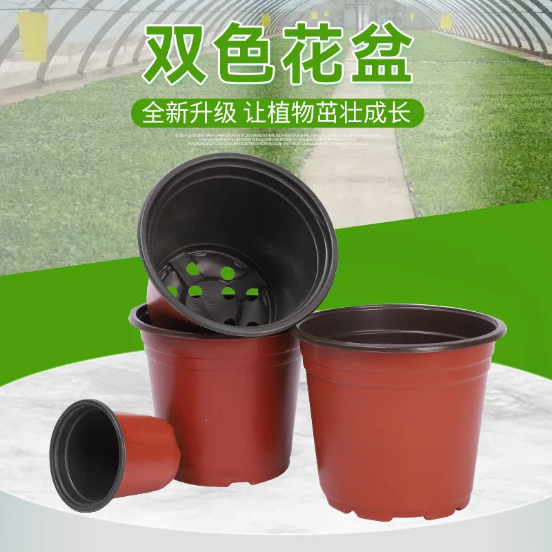 50/100pcs Plastic Nursery Pots – 9–14cm Grow Containers for Seedlings