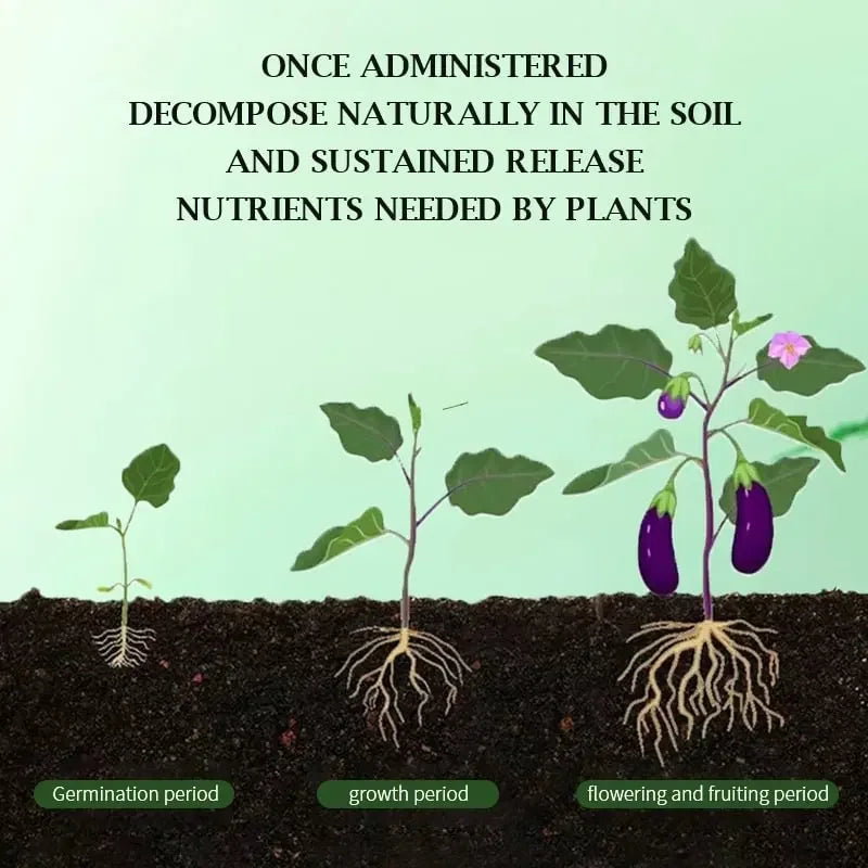 100g Organic Slow-Release Fertilizer Tablets for All Plants
