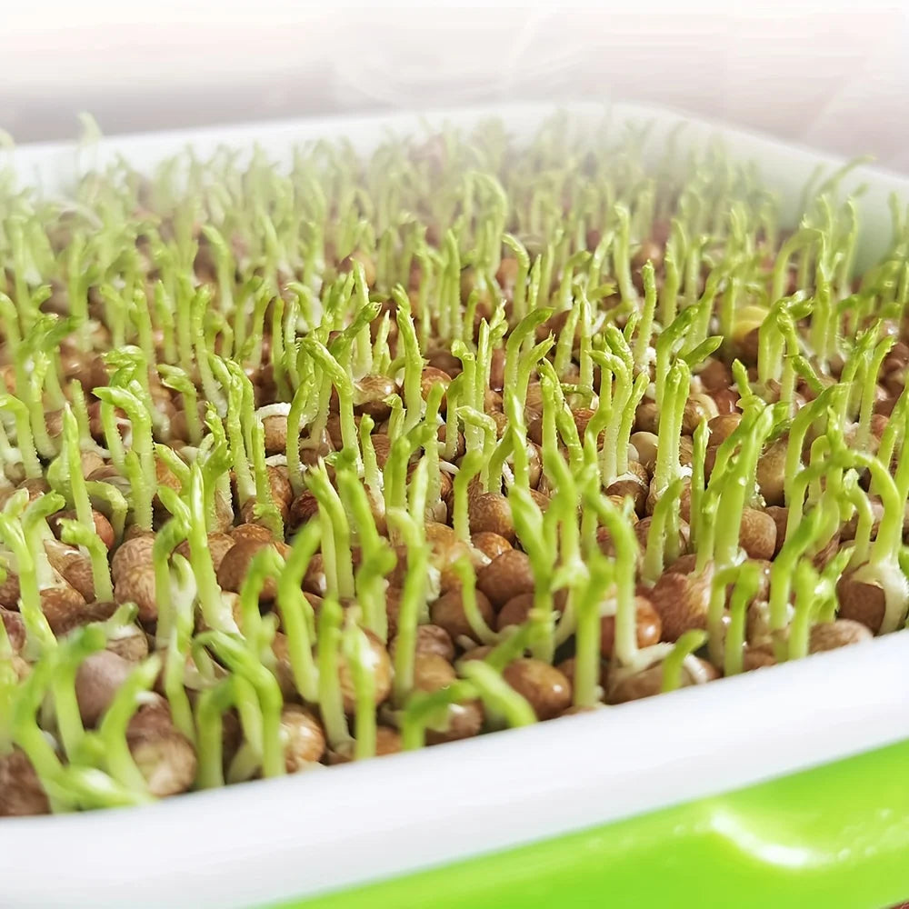 Hydroponic Sprouting Tray – 2-Layer Plastic Microgreens Grower