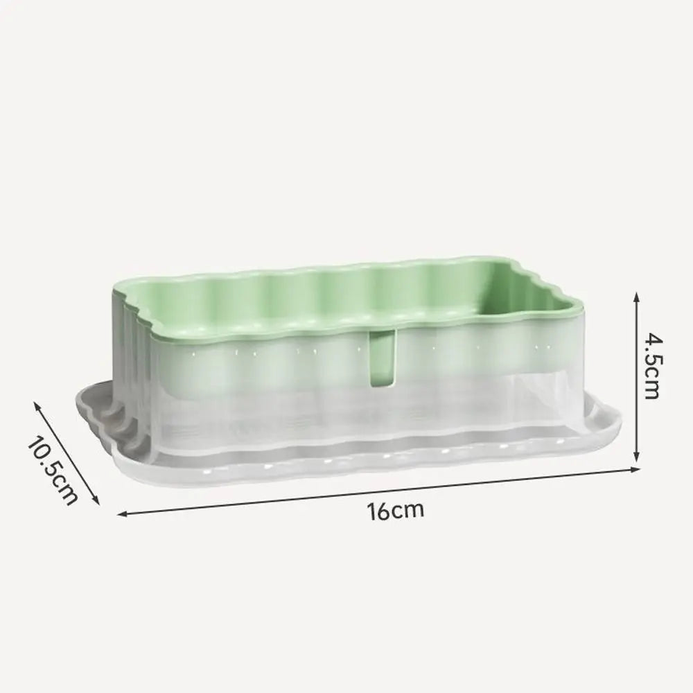 Hydroponic Sprout Growing Tray – Soilless Cultivation Seed Starter