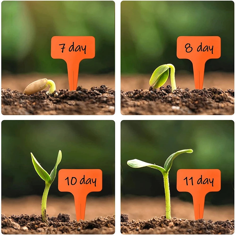 10CM T-Shape Plant Labels with Pen – 30Pcs Waterproof Garden Nursery Markers