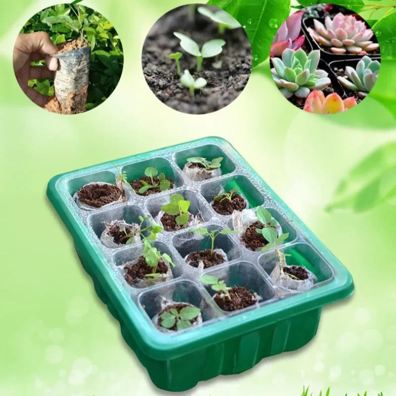 12-Cell Seed Starter Tray with Dome for Indoor Gardening