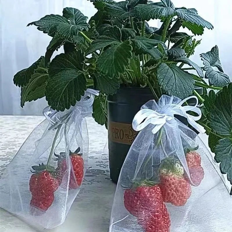 1–100pcs Green Fruit Protection Mesh Bags – Anti-Bird & Pest Netting