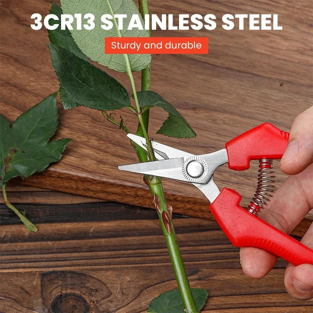 Stainless Steel Garden Pruning Shears – Fruit & Herb Trimming Scissors