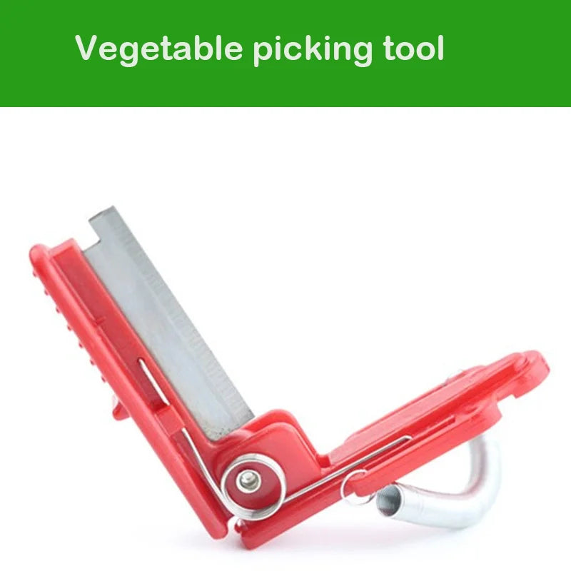 Thumb Knife Fruit & Vegetable Picker – Stainless Steel Harvest Tool