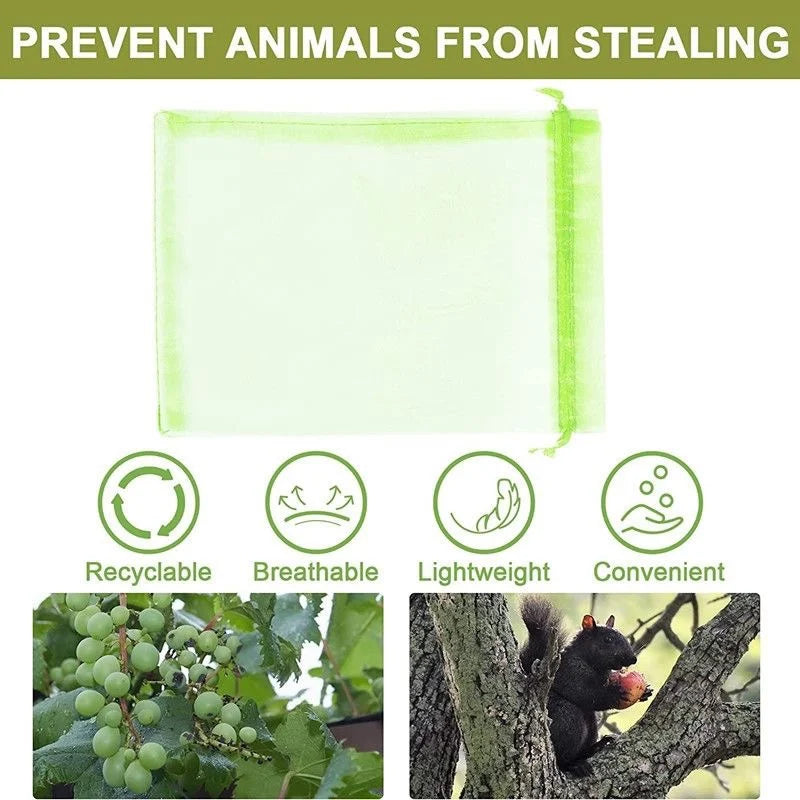 1–100pcs Green Fruit Protection Mesh Bags – Anti-Bird & Pest Netting