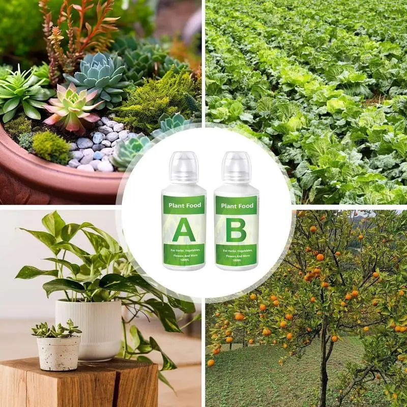 Hydroponic Fertilizer AB Two-Part Set – Liquid Plant Food for Flowers, Vegetables & Grass Growth