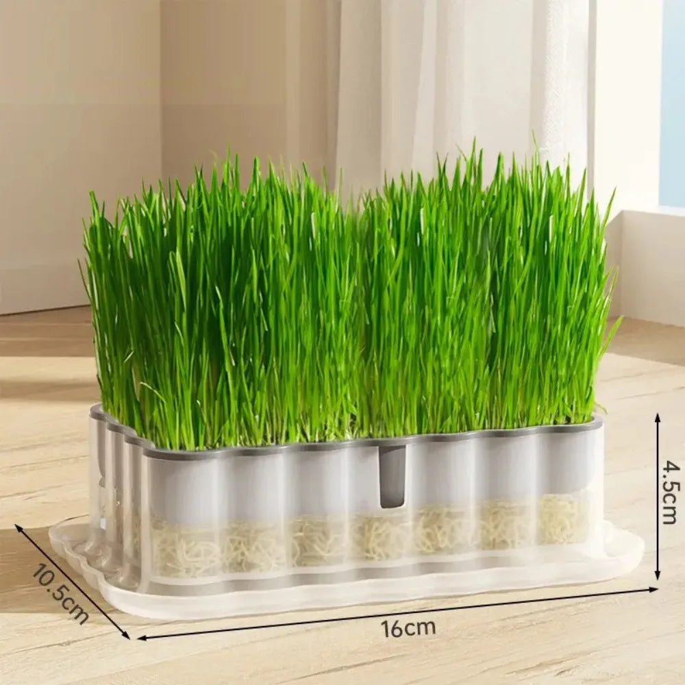 Hydroponic Sprout Growing Tray – Soilless Cultivation Seed Starter