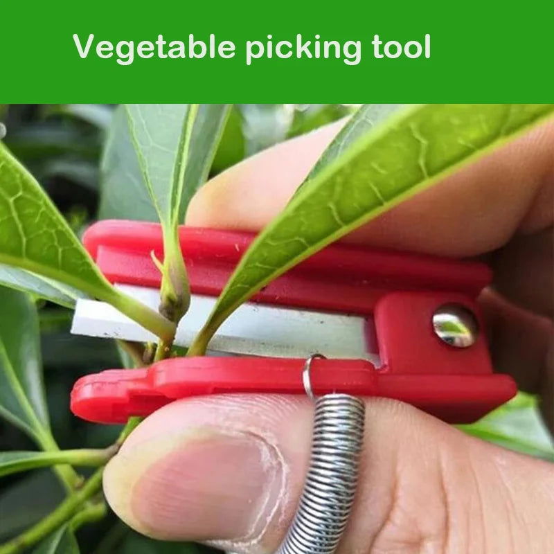 Thumb Knife Fruit & Vegetable Picker – Stainless Steel Harvest Tool