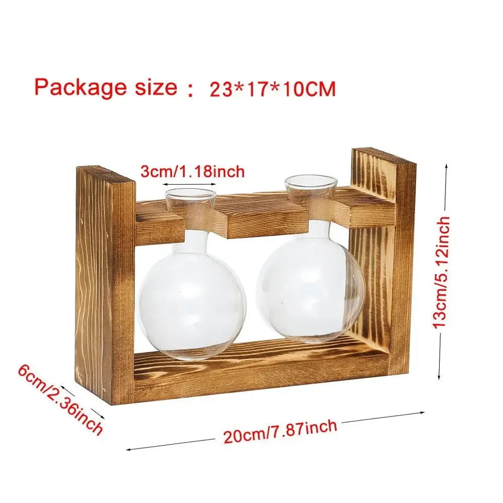 Glass Avocado Seed Starter Vase – Transparent Germination Kit