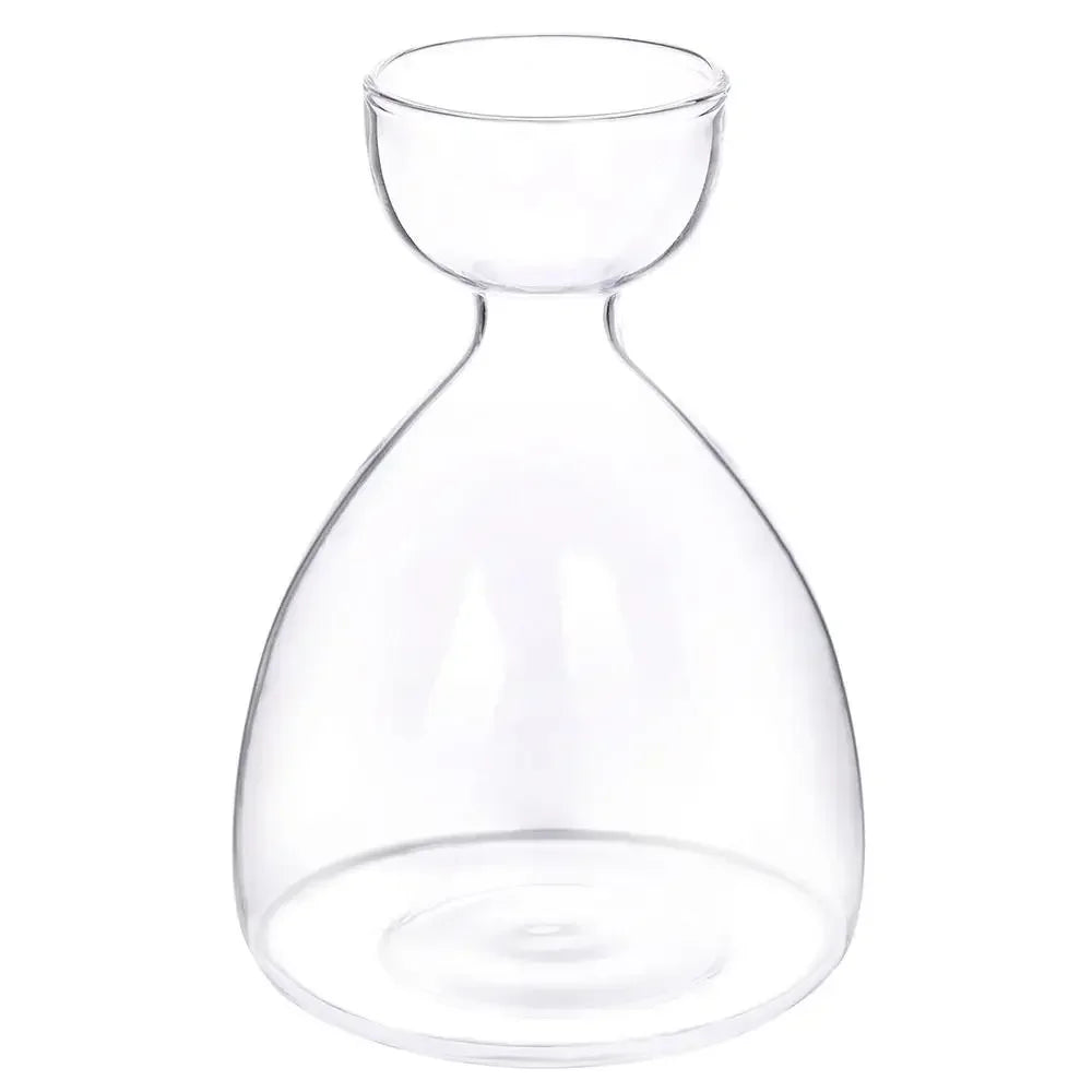 Glass Avocado Seed Starter Vase – Transparent Germination Kit