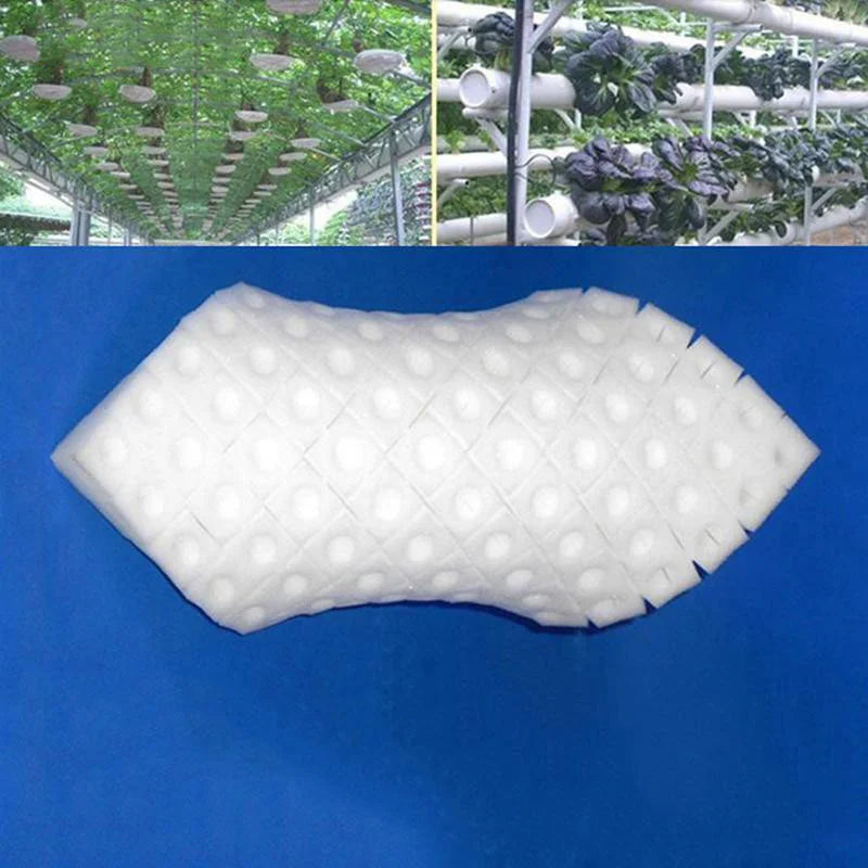 100pcs Hydroponic Seedling Sponge – Soilless Plant Starter Plugs