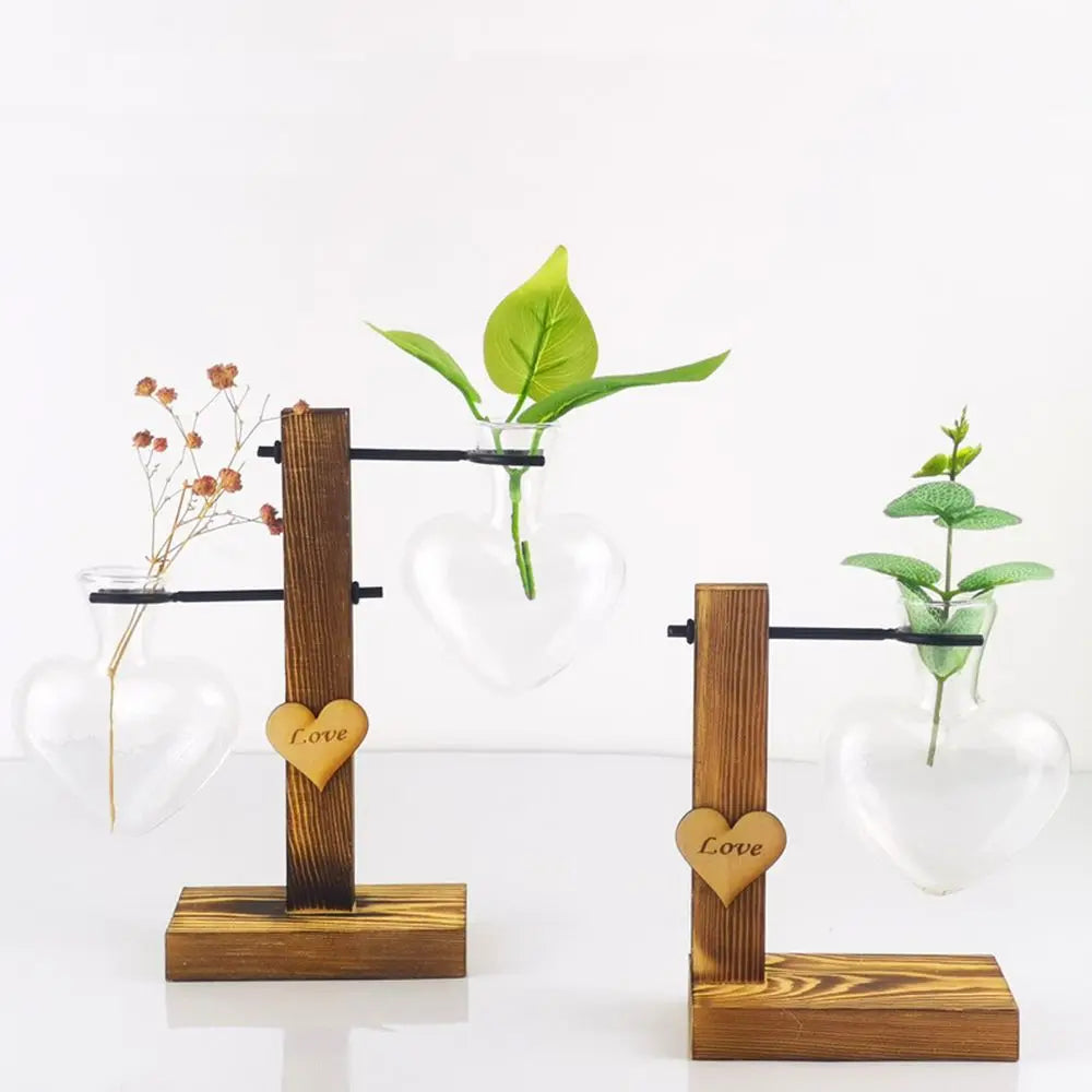 Glass Avocado Seed Starter Vase – Transparent Germination Kit