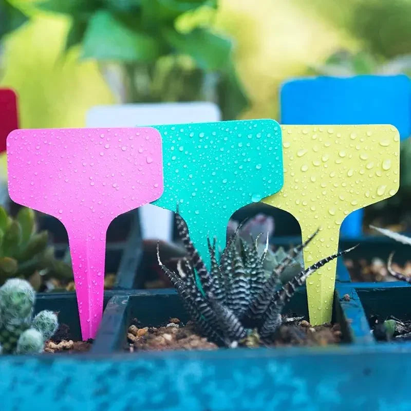 50/100pcs T-Shape Waterproof Plant Tags – PVC Garden Labels + Pen