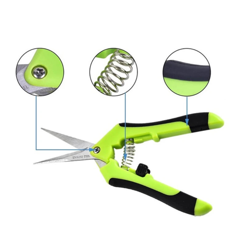 Stainless Steel Pruning Scissors – Fruit & Leaf Trimmer (16.5cm)