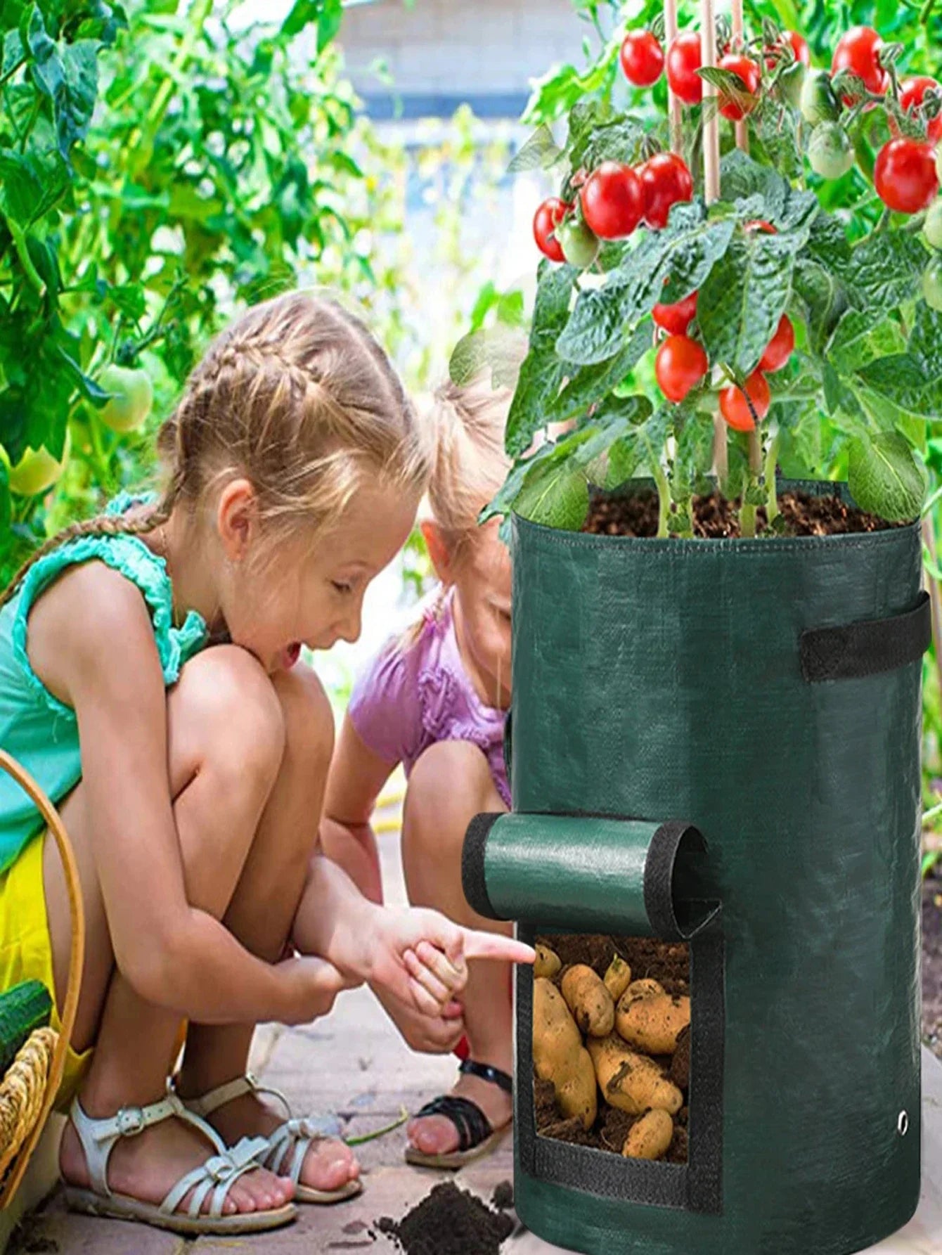 5-Pack Heavy-Duty Vegetable Grow Bags – Breathable PE Planters