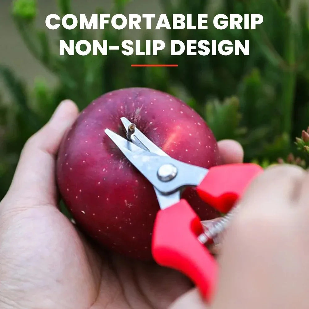 Stainless Steel Garden Pruning Shears – Fruit & Herb Trimming Scissors
