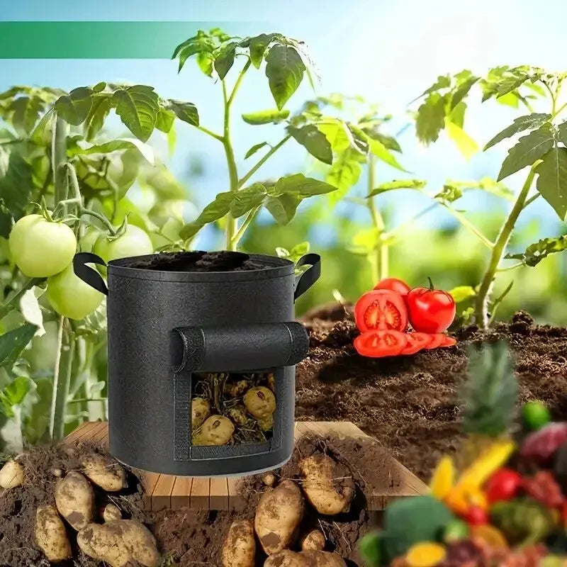 Vegetable Grow Bags – Nonwoven Fabric Pot with Harvest Window & Handles