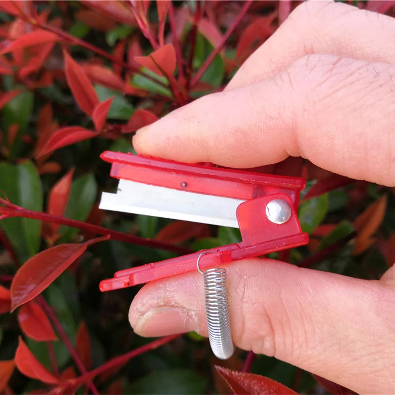 Thumb Knife Fruit & Vegetable Picker – Stainless Steel Harvest Tool