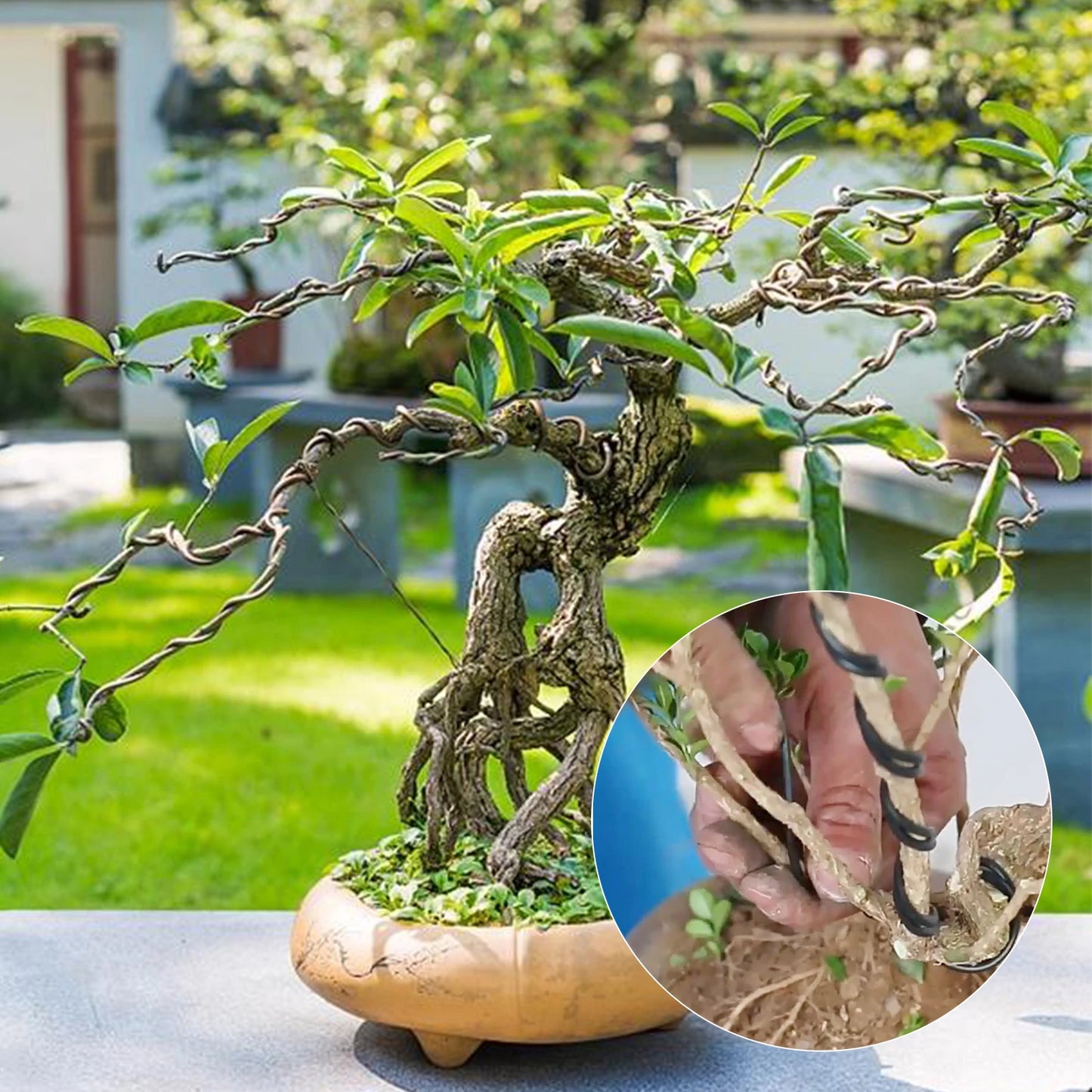 10M Aluminum Bonsai Training Wire – 1mm to 3mm for Garden Use