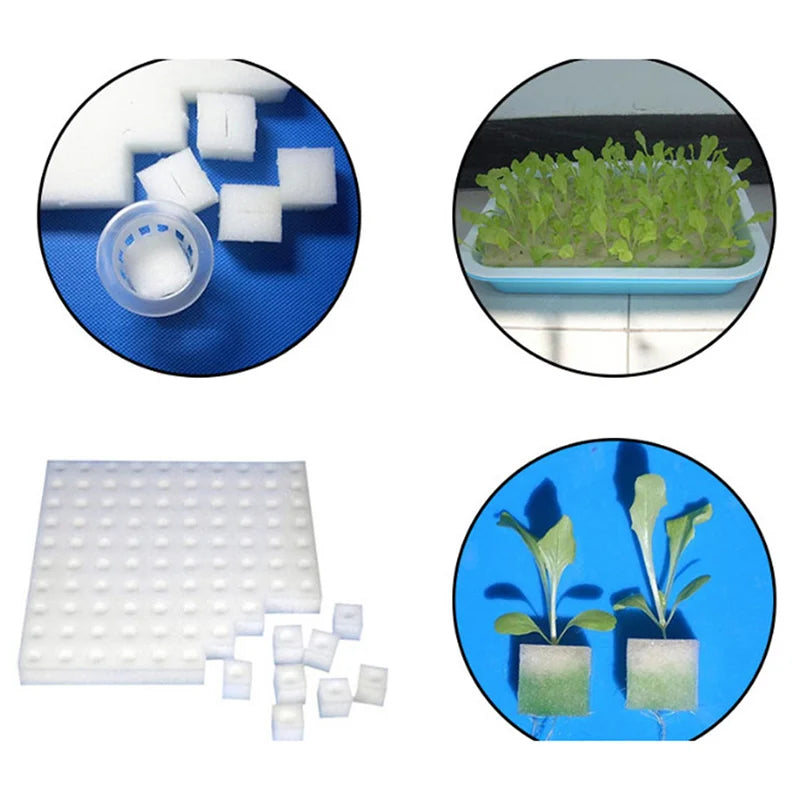 100pcs Hydroponic Seedling Sponge – Soilless Plant Starter Plugs