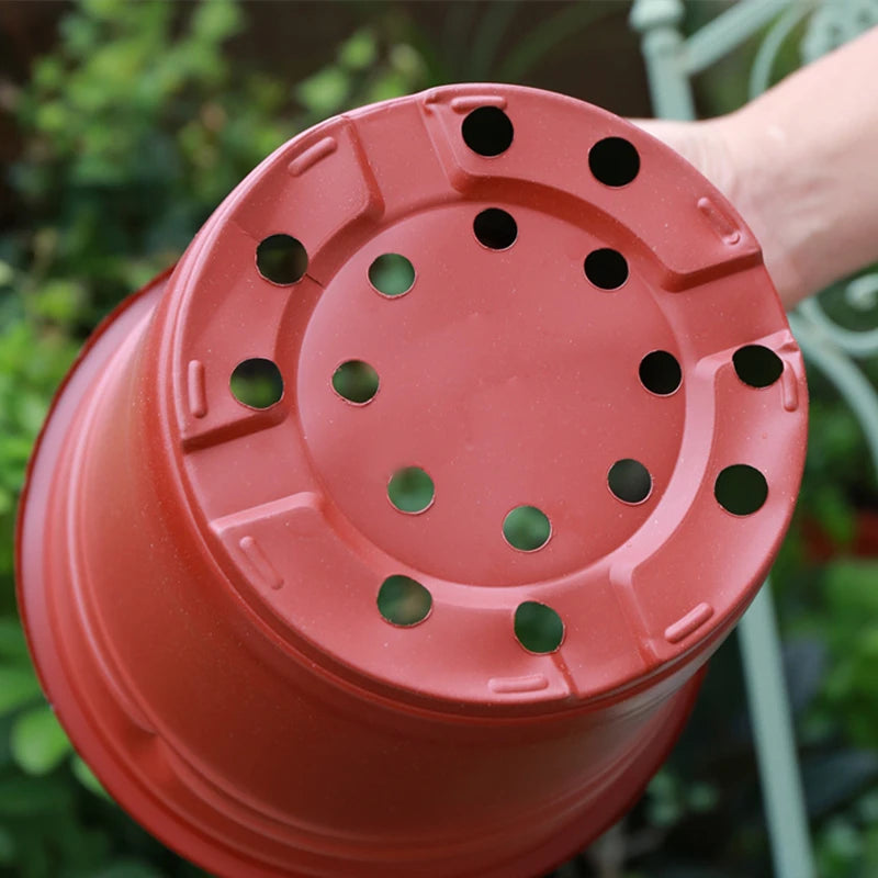 50/100pcs Plastic Nursery Pots – 9–14cm Grow Containers for Seedlings