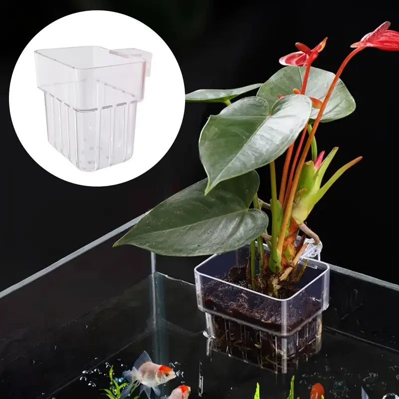 1PC Hydroponic Aquarium Planting Cup — Wall-Mounted Transparent Aquatic Plant Holder for Fish Tanks
