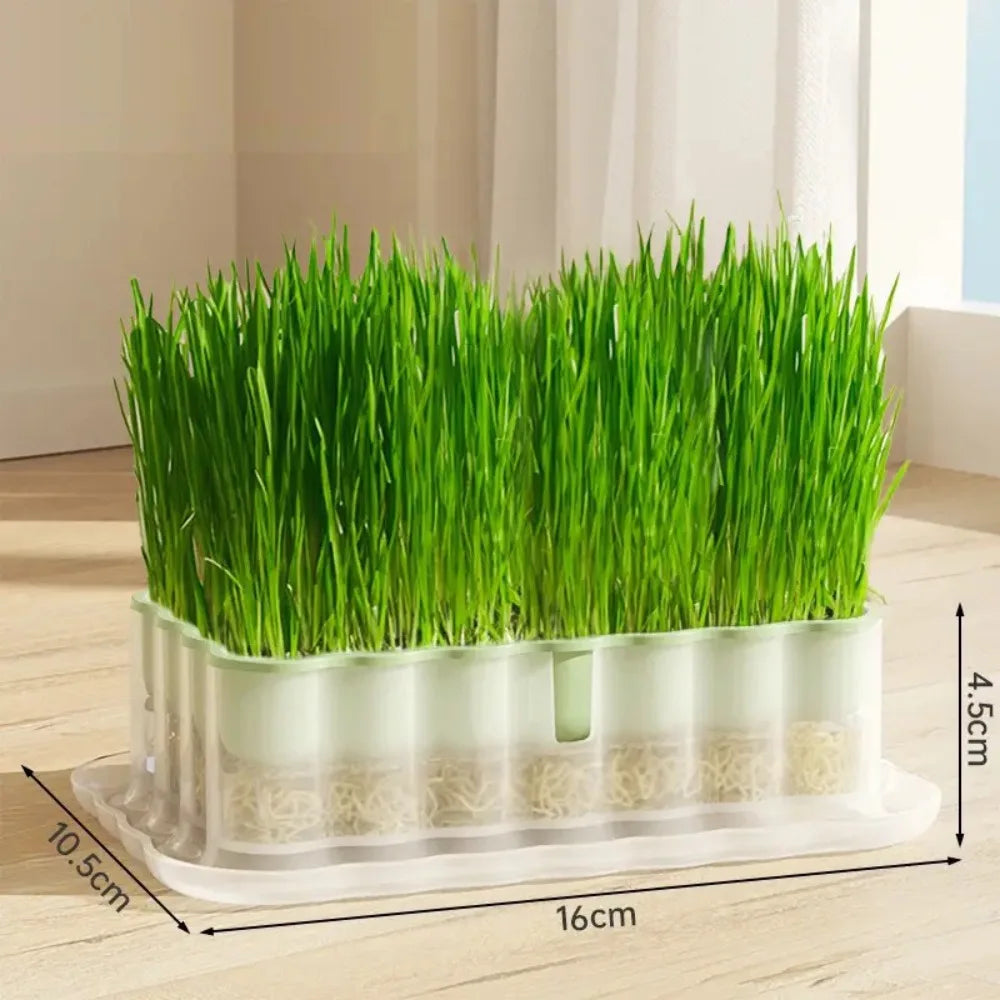 Hydroponic Sprout Growing Tray – Soilless Cultivation Seed Starter