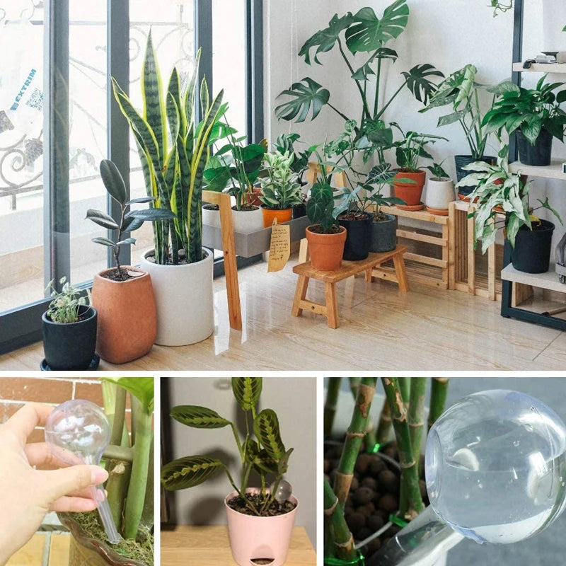 5pcs Self-Watering Globes – Automatic Water Feeders for Plants