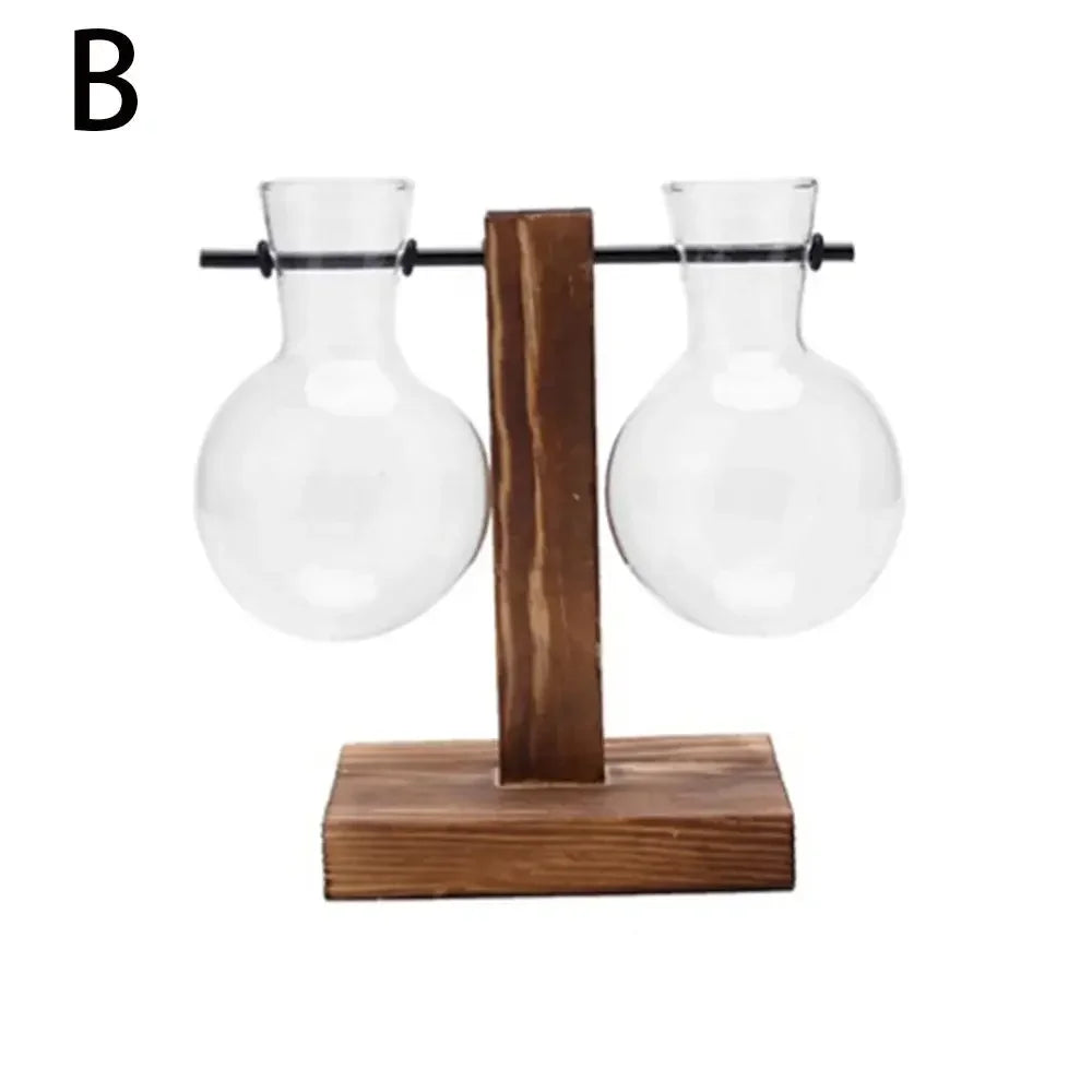 Glass Avocado Seed Starter Vase – Transparent Germination Kit