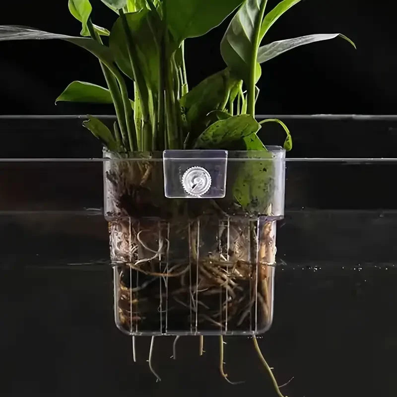 1PC Hydroponic Aquarium Planting Cup — Wall-Mounted Transparent Aquatic Plant Holder for Fish Tanks