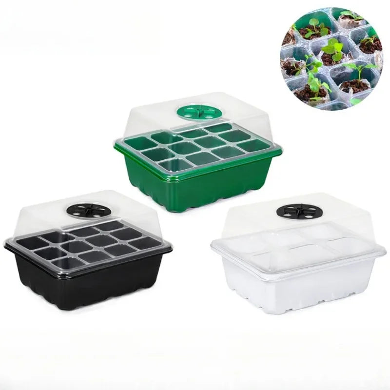 12-Cell Seed Starter Tray with Dome for Indoor Gardening