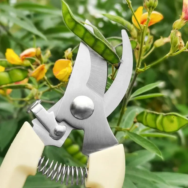 Stainless Steel Flower & Garden Scissors – Pruning, Grafting, and Branch Cutting Tool