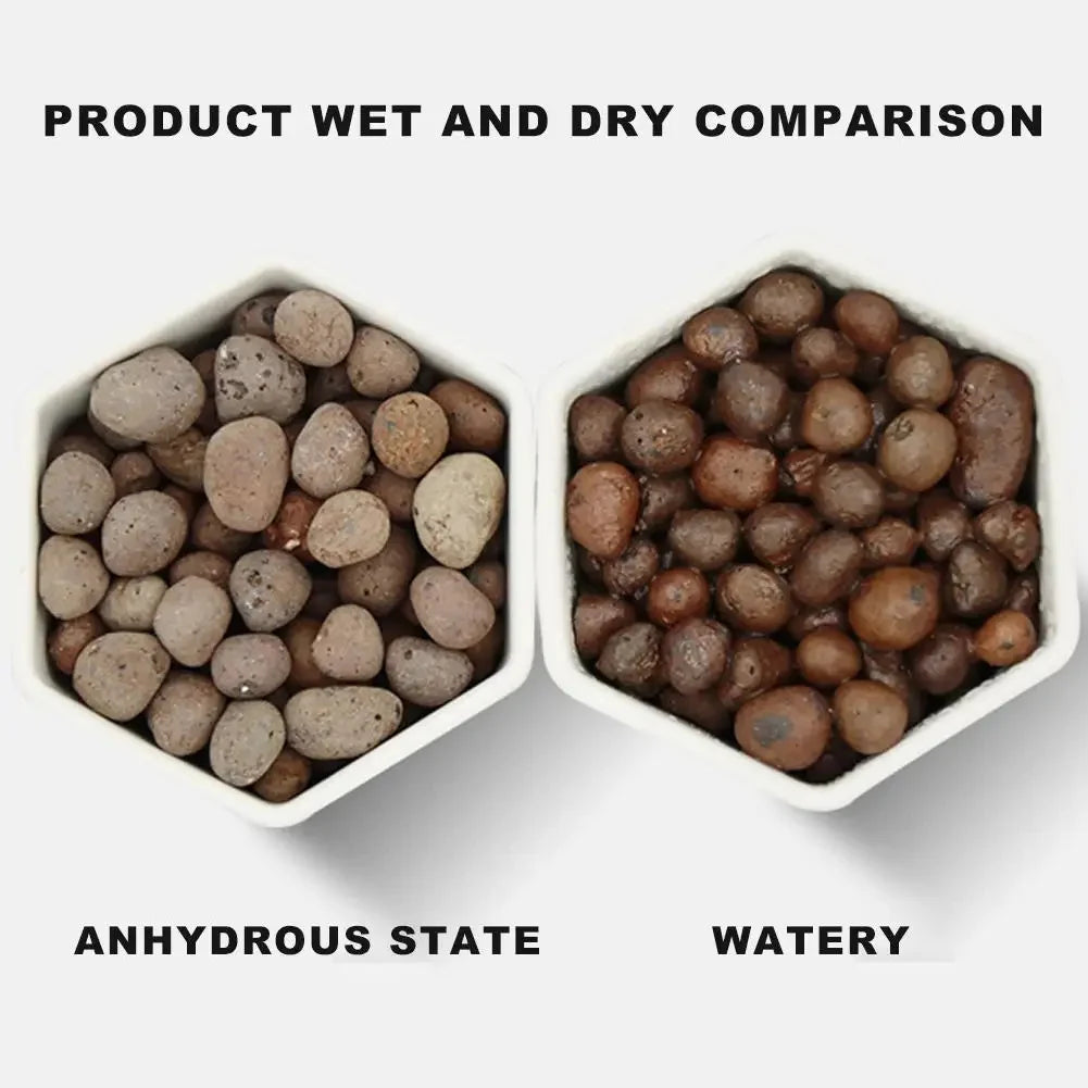 1L Natural Expanded Clay Pebbles for Hydroponics & Orchids
