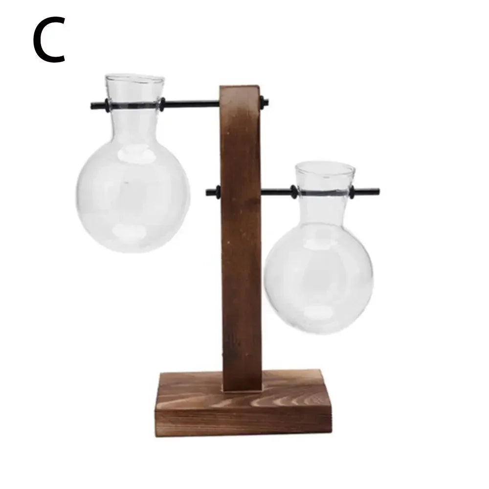 Glass Avocado Seed Starter Vase – Transparent Germination Kit