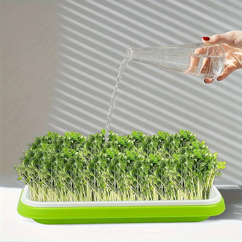 Hydroponic Sprouting Tray – 2-Layer Plastic Microgreens Grower