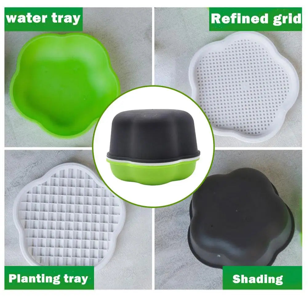 Hydroponic Sprout Box – Soilless Seedling Tray for Beans & Cat Grass