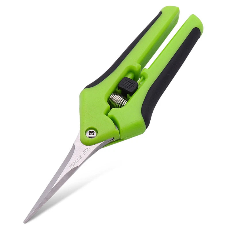 Stainless Steel Pruning Scissors – Fruit & Leaf Trimmer (16.5cm)