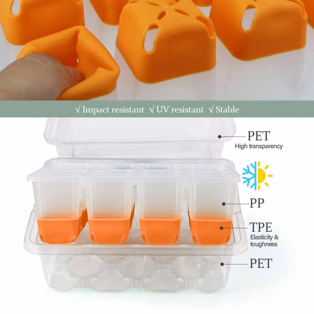 12-Cell Seedling Starter Tray Kit – Adjustable Humidity Nursery Box