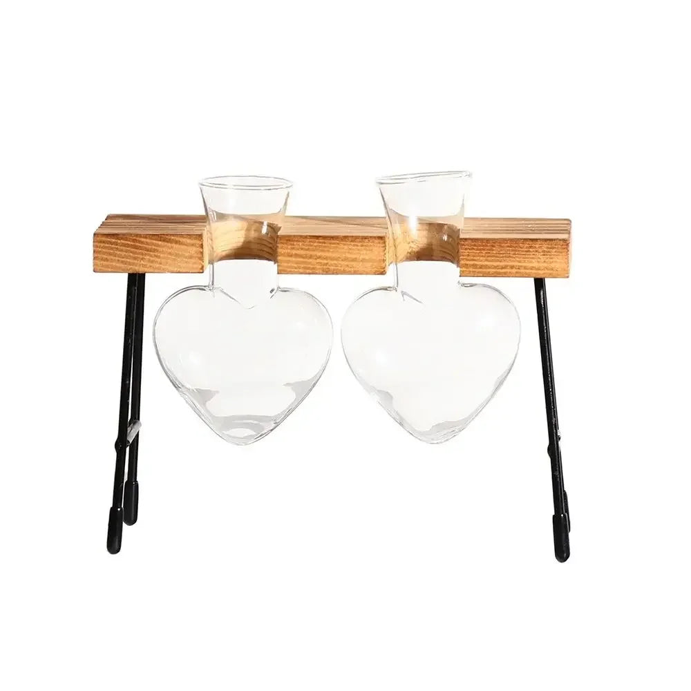 Glass Avocado Seed Starter Vase – Transparent Germination Kit