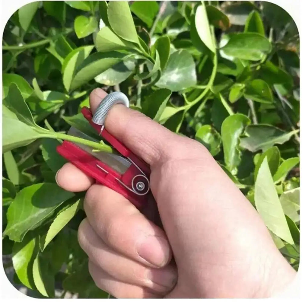 Thumb Pruner Knife – One-Hand Fruit & Vegetable Picking Tool