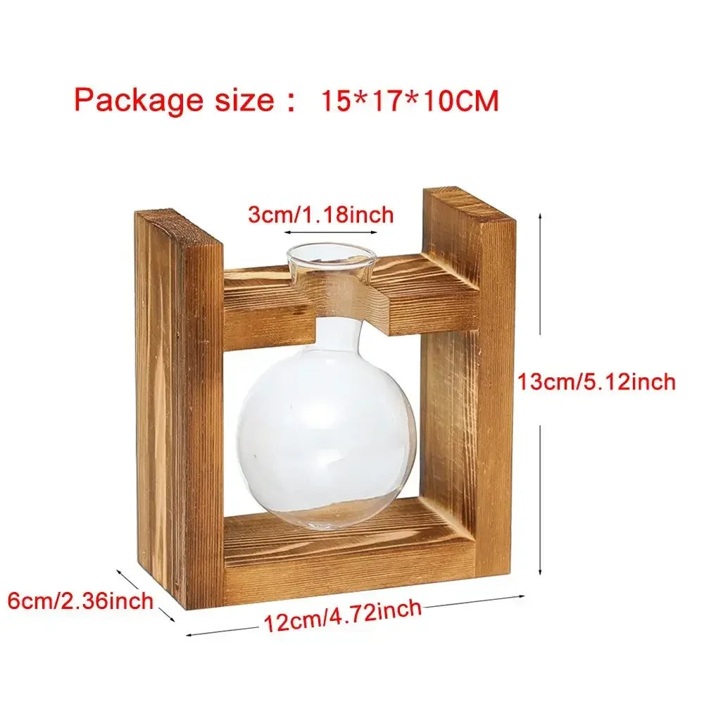 Glass Avocado Seed Starter Vase – Transparent Germination Kit