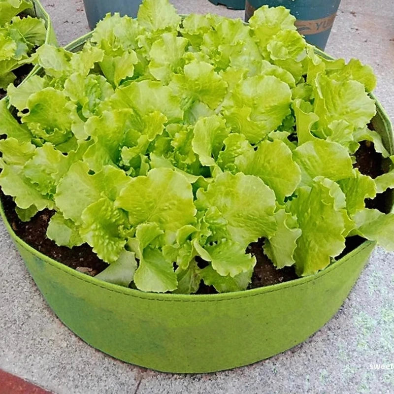 Large Circular Felt Grow Bag – Fabric Raised Bed for Vegetables & Herbs