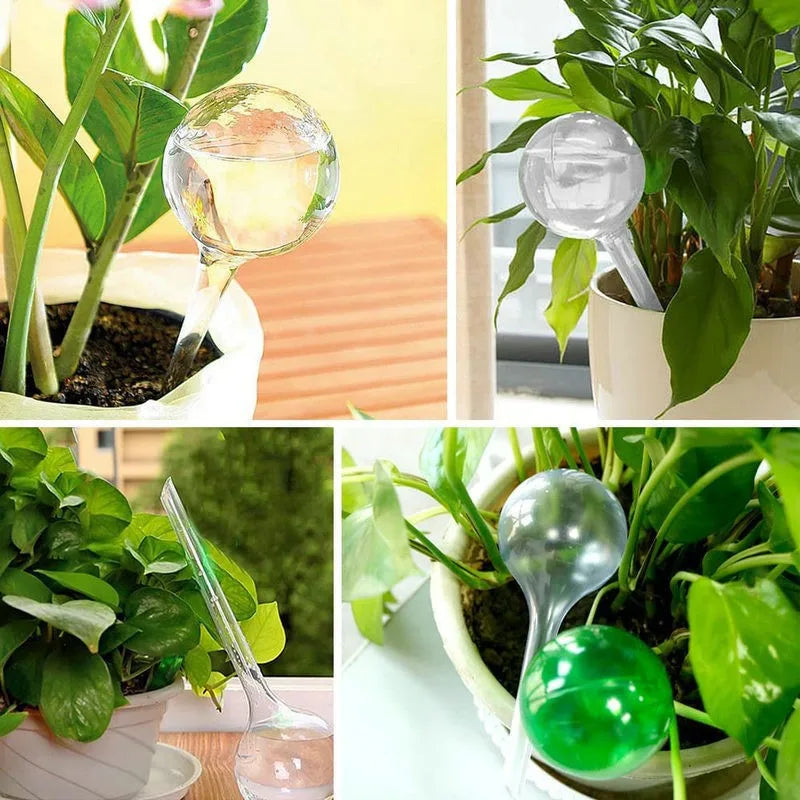 5pcs Self-Watering Globes – Automatic Water Feeders for Plants