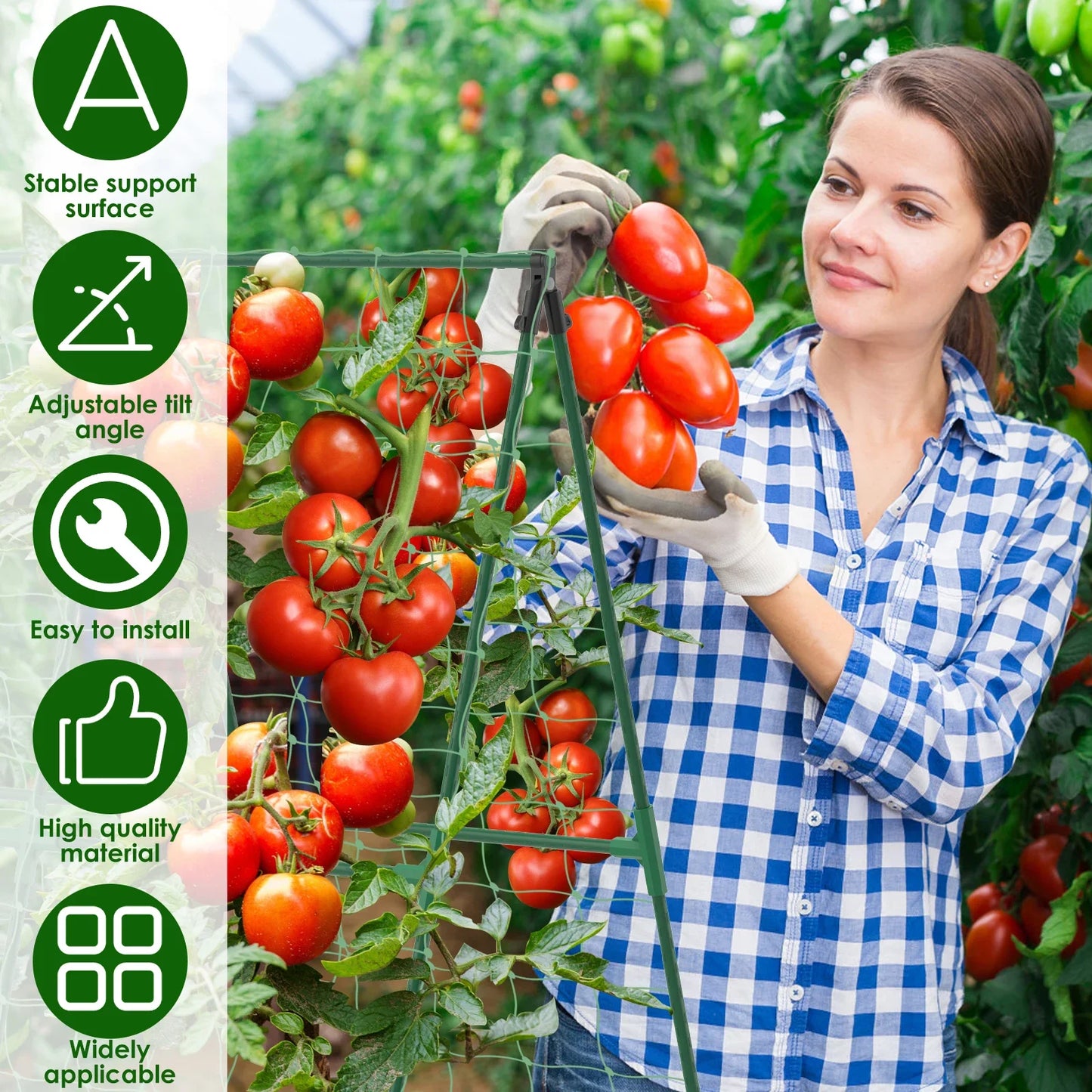 A-Frame Cucumber Trellis – Adjustable Vegetable Climbing Support