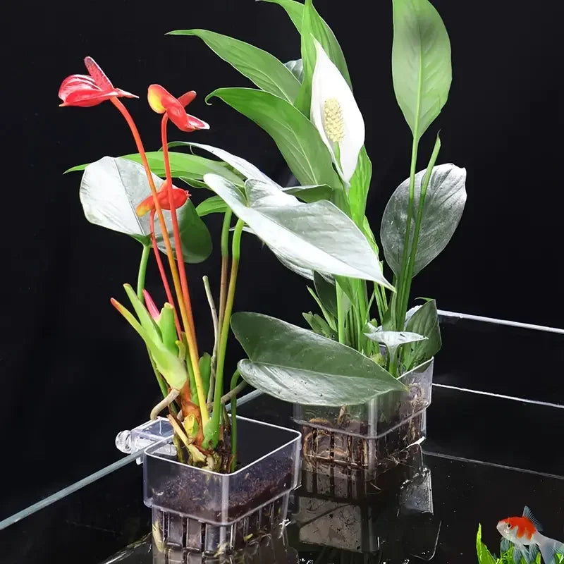 1PC Hydroponic Aquarium Planting Cup — Wall-Mounted Transparent Aquatic Plant Holder for Fish Tanks