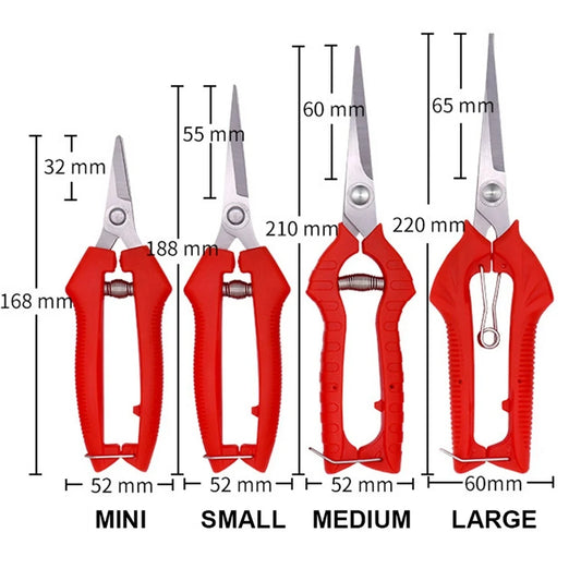 Compact Garden Pruning Shears – Stainless Steel for Fruit & Herbs