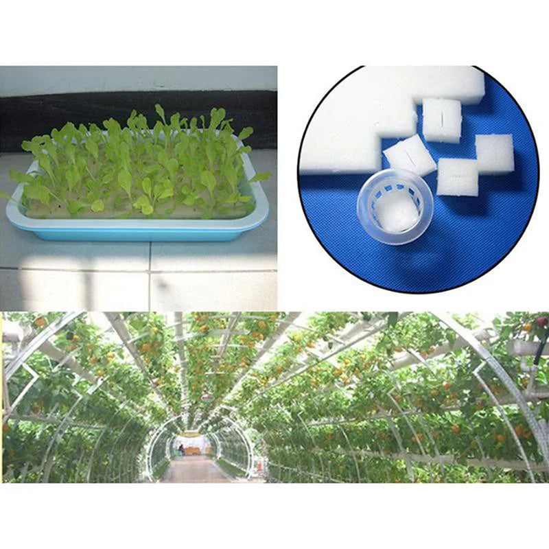 100pcs Hydroponic Seedling Sponge – Soilless Plant Starter Plugs