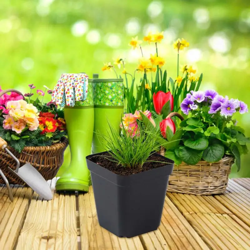 50PCS Square Seedling Pots – Durable Plastic Nursery Plant Cups