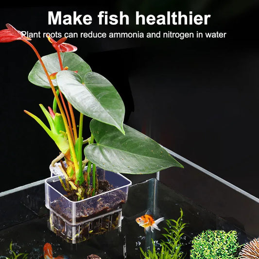 Aquarium Hydroponic Plant Cup – Water Grass Holder for Fish Tanks